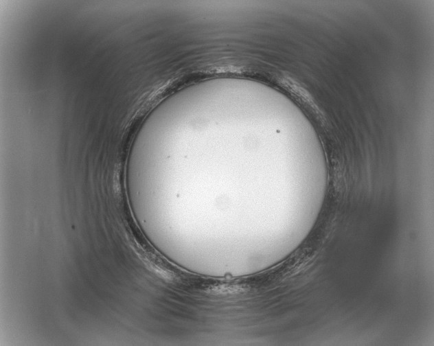 X0000064770537200603031828