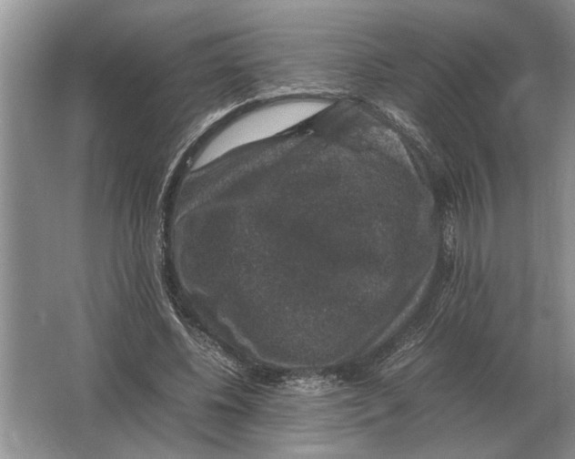 X0000064770540200603031828