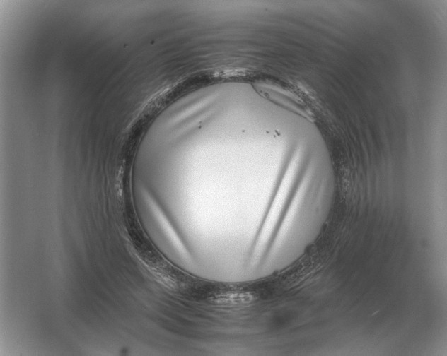 X0000064770543200603031828