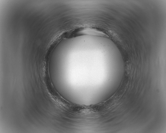 X0000064770544200603031828