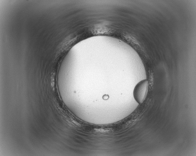 X0000064770545200603031828