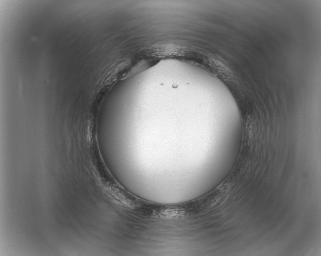 X0000064770546200603031828