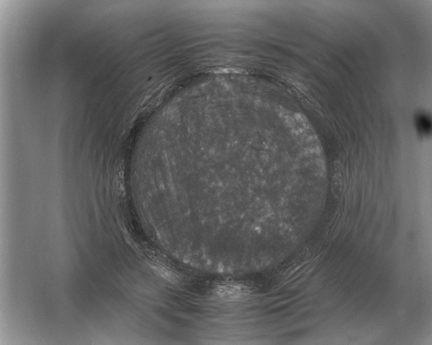 X0000064770547200603031828