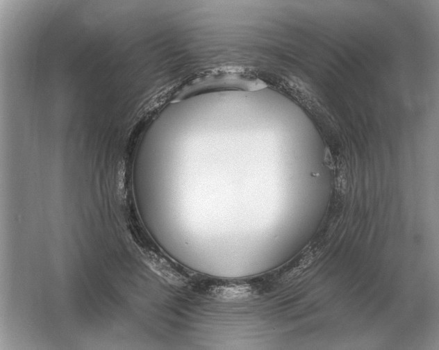 X0000064770548200603031828