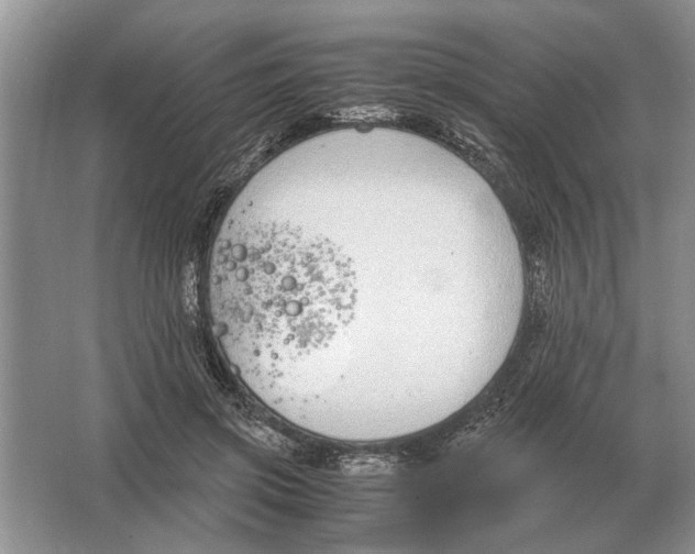 X0000064770549200603031828