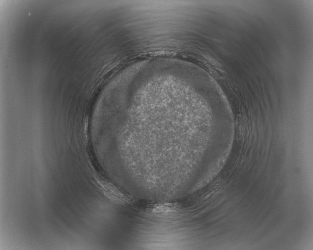 X0000064770550200603031828