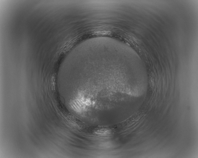 X0000064770551200603031828