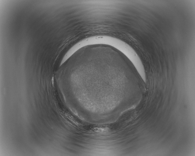 X0000064770552200603031828