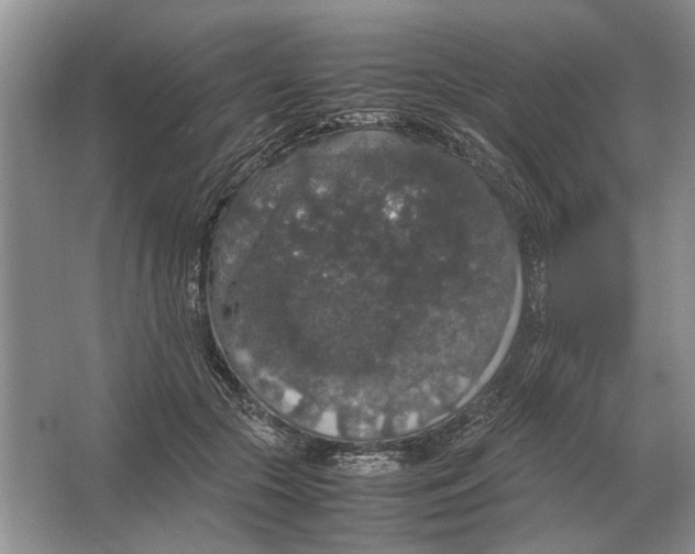 X0000064770553200603031828