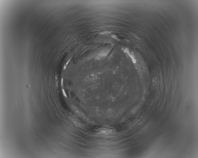 X0000064770555200603031828