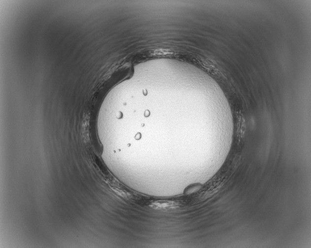 X0000064770557200603031828