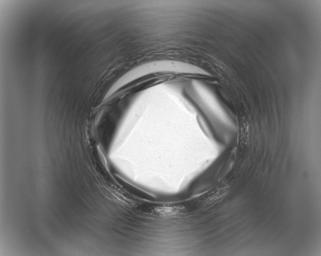 X0000064770558200603031828