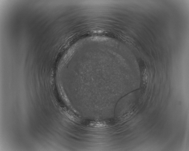 X0000064770559200603031828