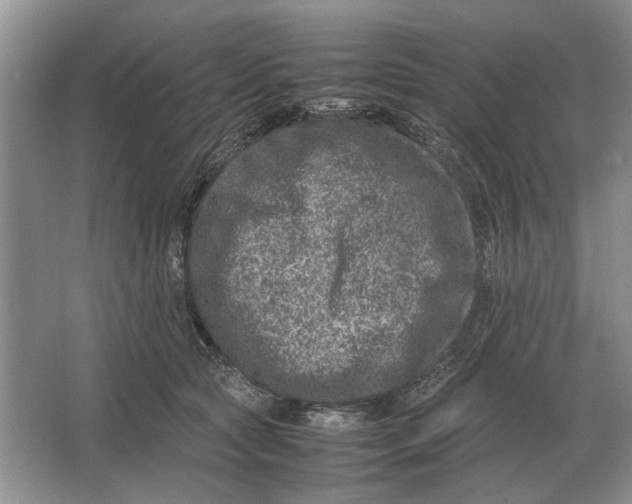 X0000064770561200603031828