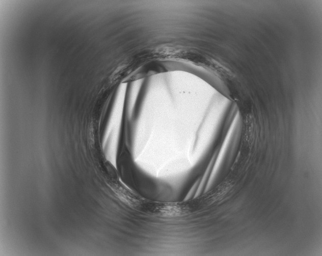 X0000064770562200603031828