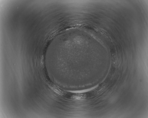 X0000064770563200603031828