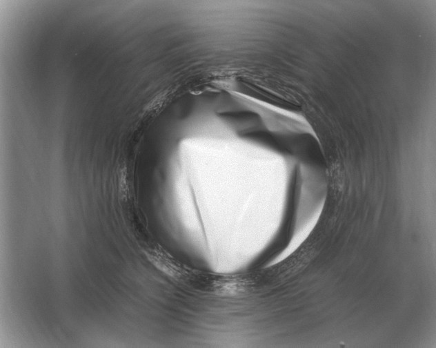 X0000064770564200603031828