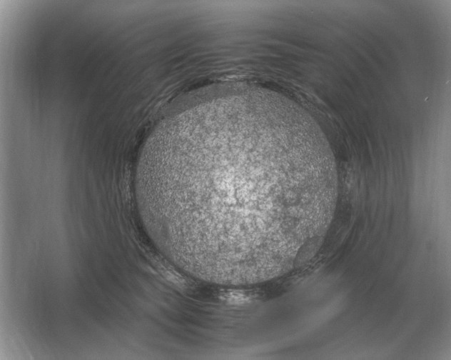 X0000064770565200603031828