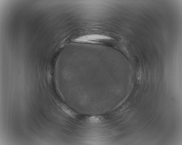 X0000064770566200603031828