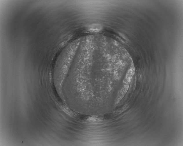 X0000064770568200603031828