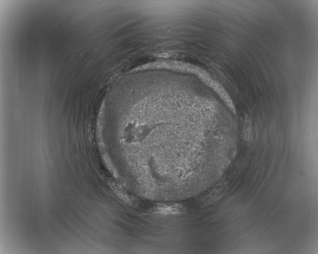 X0000064770569200603031828