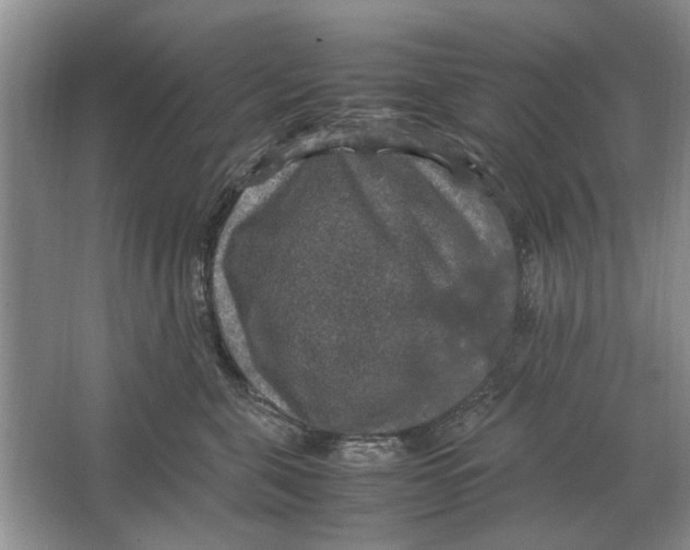 X0000064770571200603031828