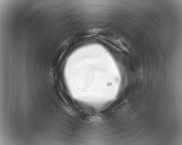 X0000064770572200603031828