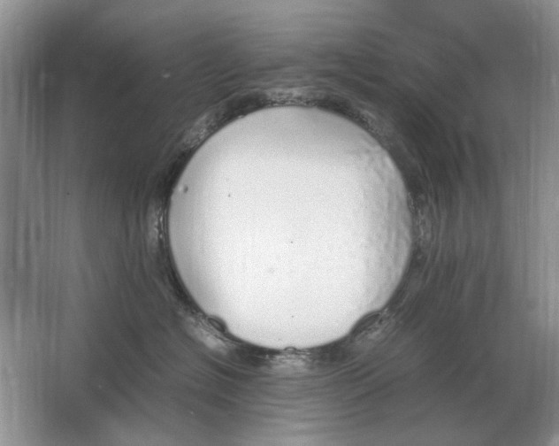 X0000064770574200603031828