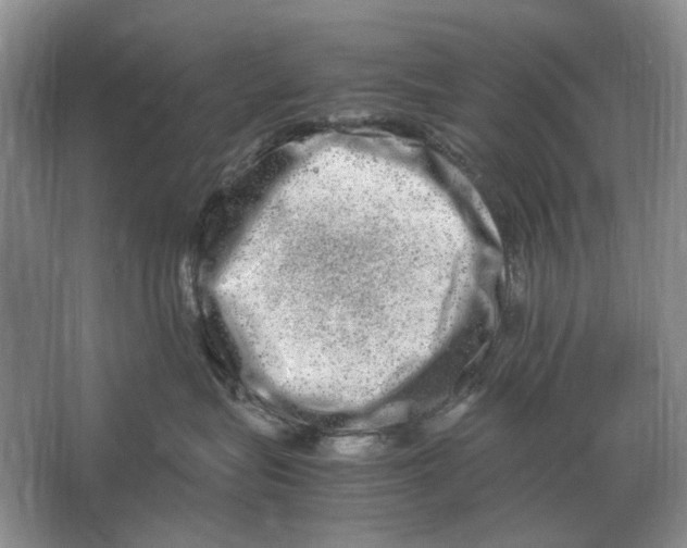 X0000064770575200603031828