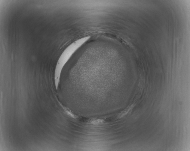 X0000064770576200603031828