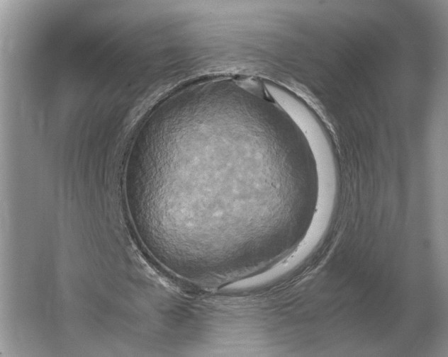 X0000064770577200603031828