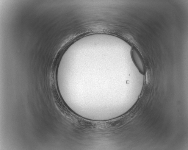 X0000064770579200603031828