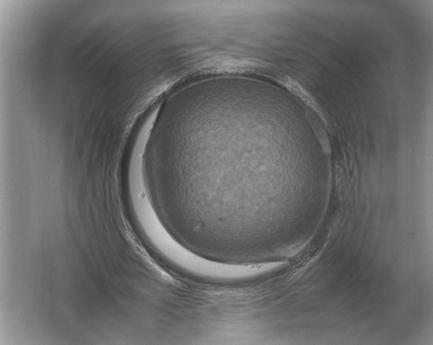 X0000064770581200603031828