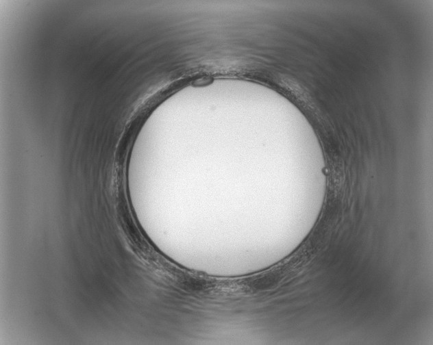 X0000064770583200603031827