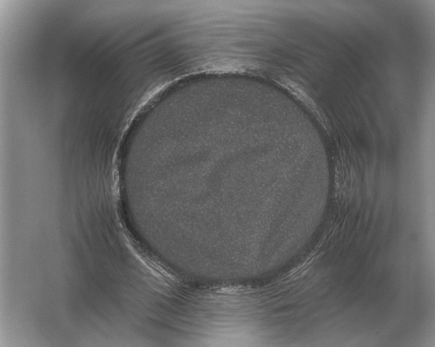 X0000064770584200603031827