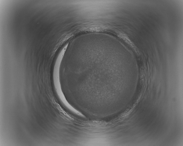 X0000064770585200603031827