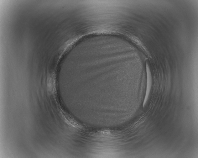 X0000064770588200603031827