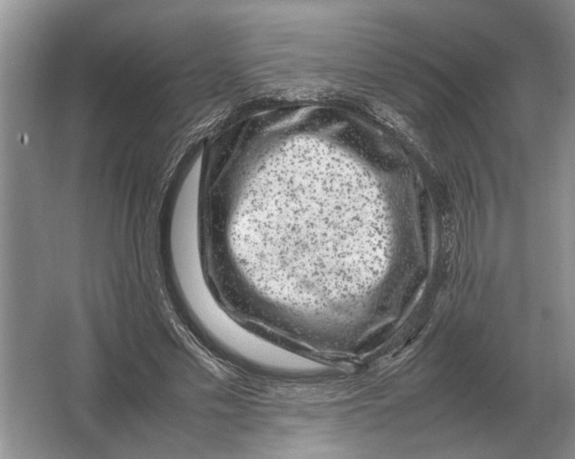 X0000064770589200603031827