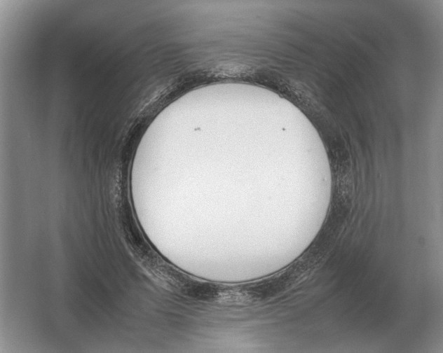 X0000064770591200603031827