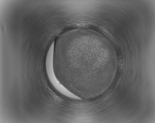 X0000064770593200603031827