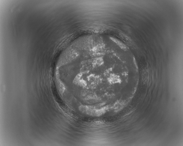 X0000064770594200603031827