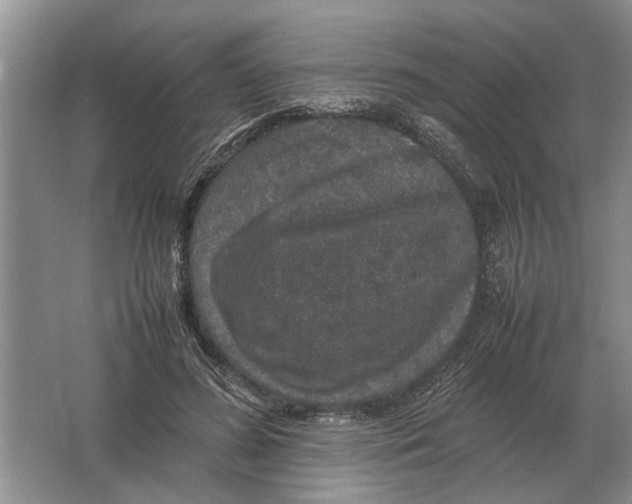 X0000064770596200603031827