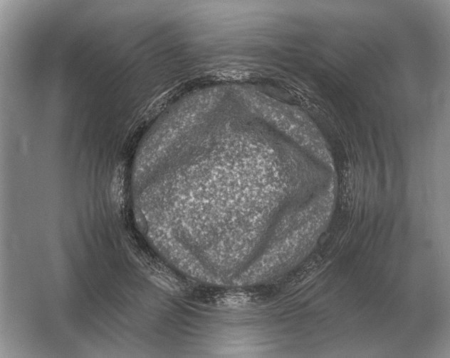 X0000064770600200603031827