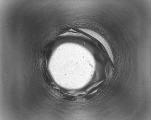 X0000064770601200603031827