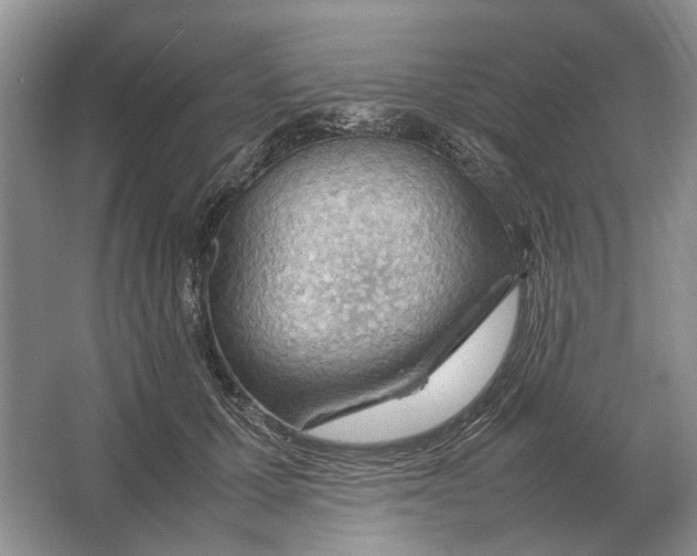 X0000064770607200603031827