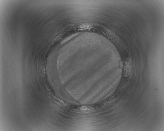 X0000064770608200603031827