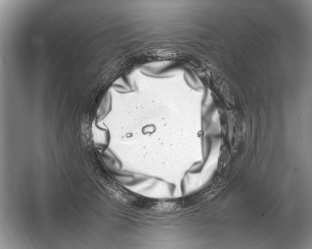 X0000064770609200603031827