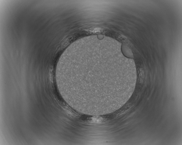 X0000064770612200603031827