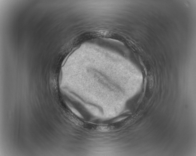 X0000064770613200603031827