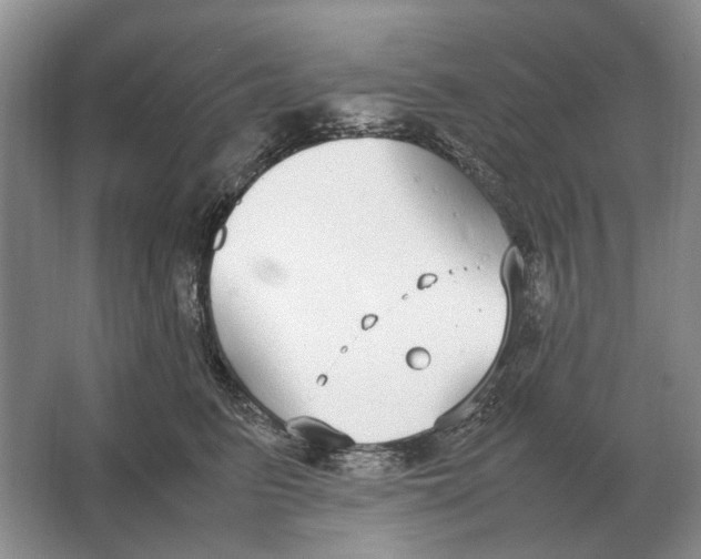 X0000064770615200603031827